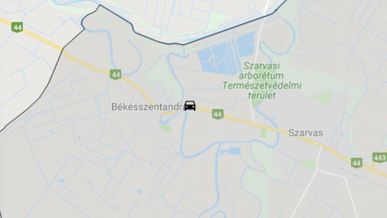 Fák közé hajtott egy személyautó a 44-esen Békésszentandrásnál