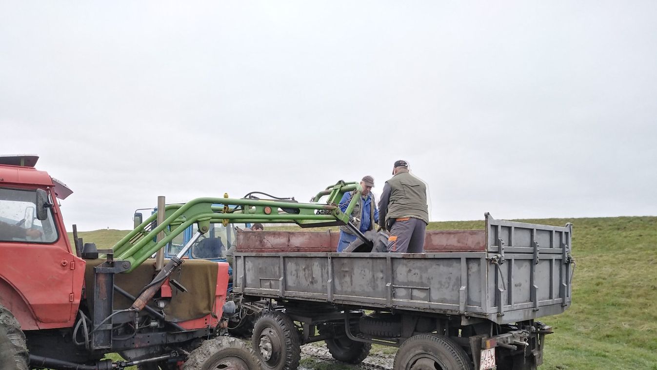 Több tonna szemetet gyűjtöttek a Körösök mentén