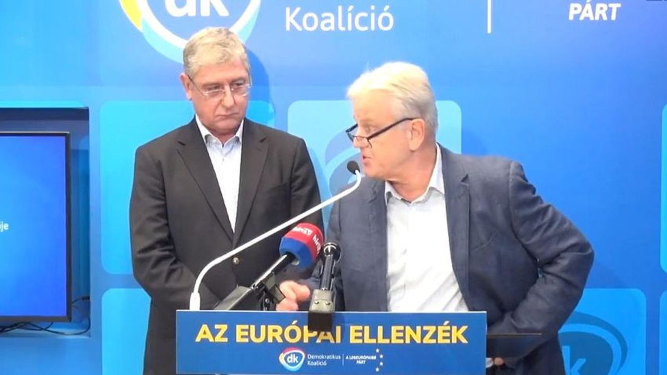 Gyurcsányék árnyékminisztere eltörölné a benzin- és élelmiszerárstopot, emelné az adókat