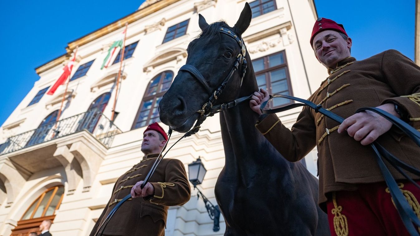 A Ménesbirtok büszkeségét kapta ajándékba a török elnök: ezt kell tudni a nóniuszról