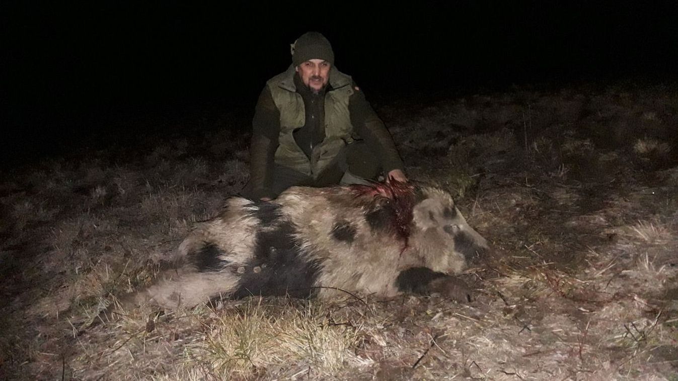 Ilyet még nem látott: különleges vaddisznót lőttek ki Tolnában