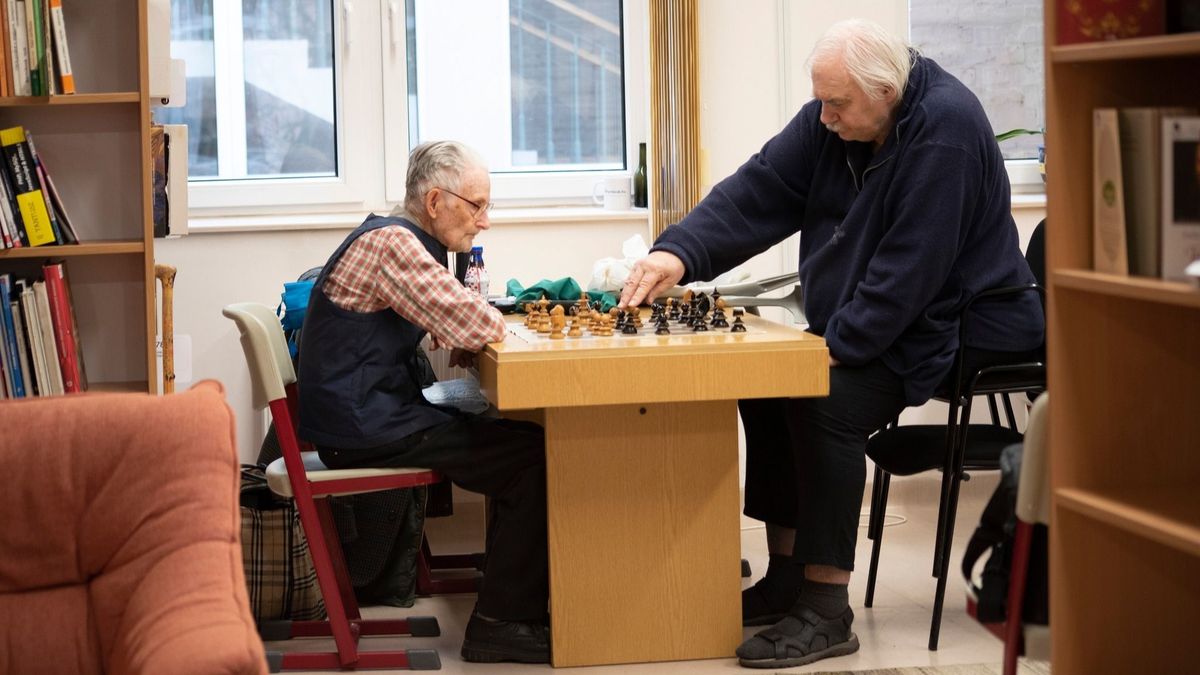 sakkparti, sakktábla, barátság, Oskó Lajos, Schneider György