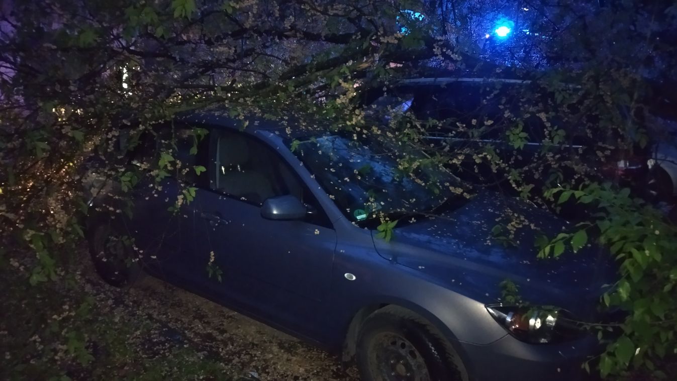 Rázuhant egy fa két parkoló autóra Szarvason