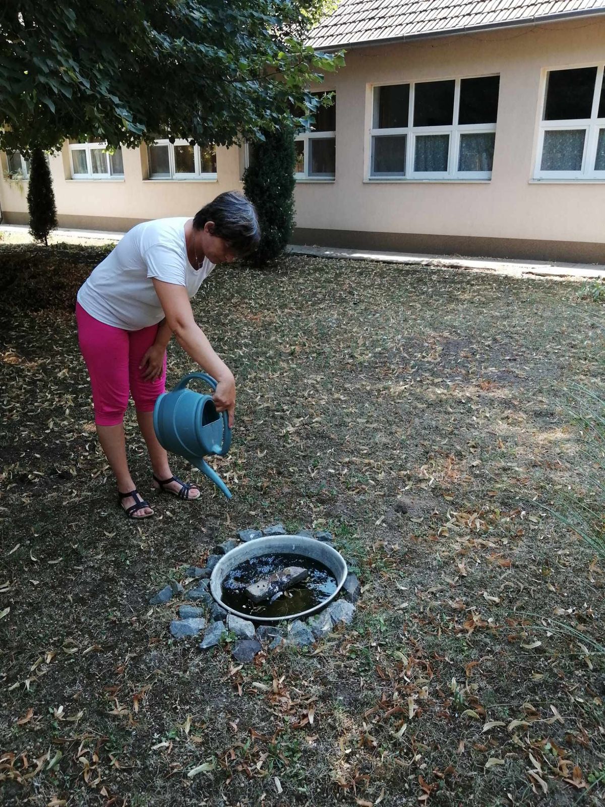 A víz forróságban mindenkinek jól jön