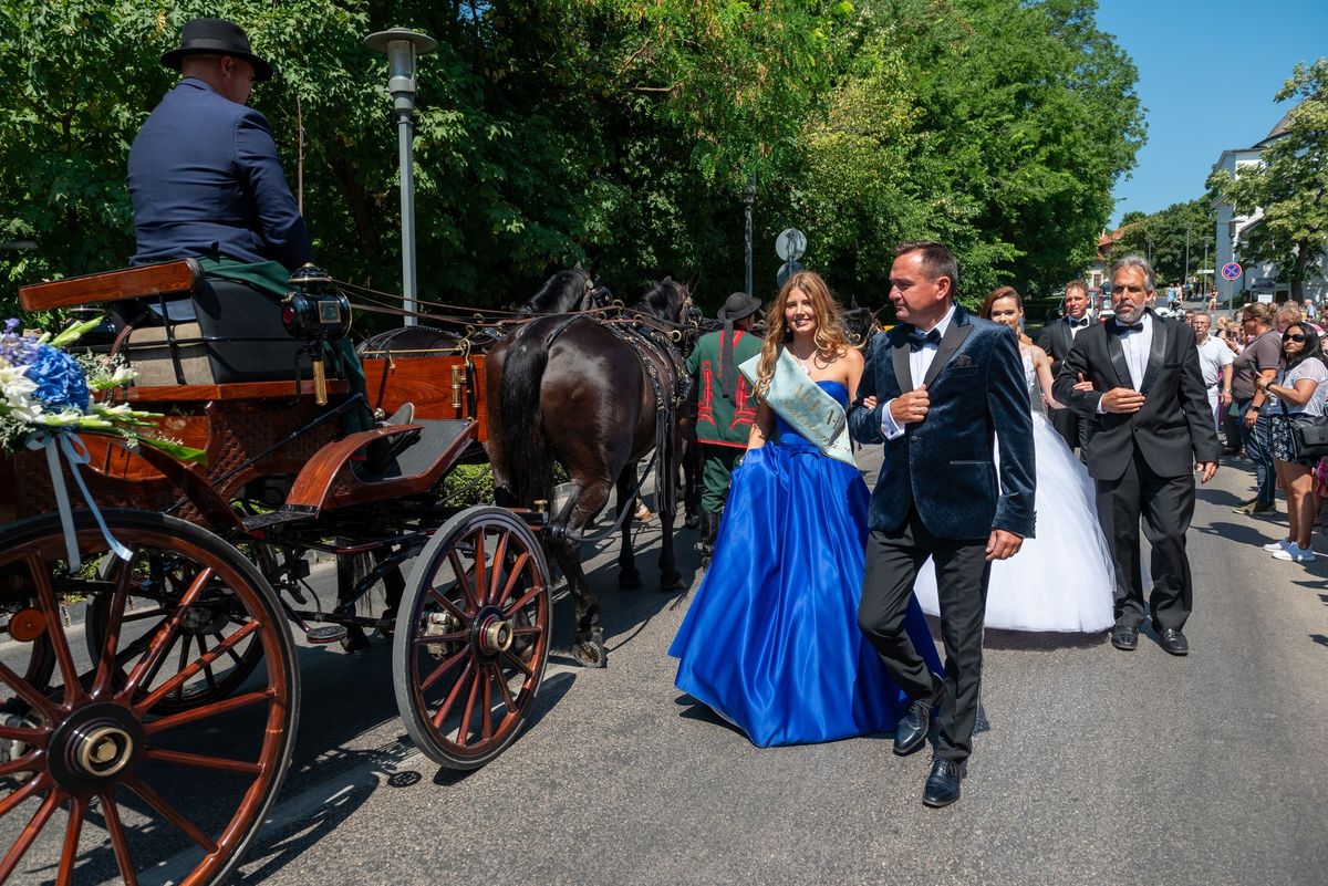 Szépség és elegancia: az Anna-bál szépe és udvarhölgyei a mezőhegyesi ötösfogattal sétakocsikáztak