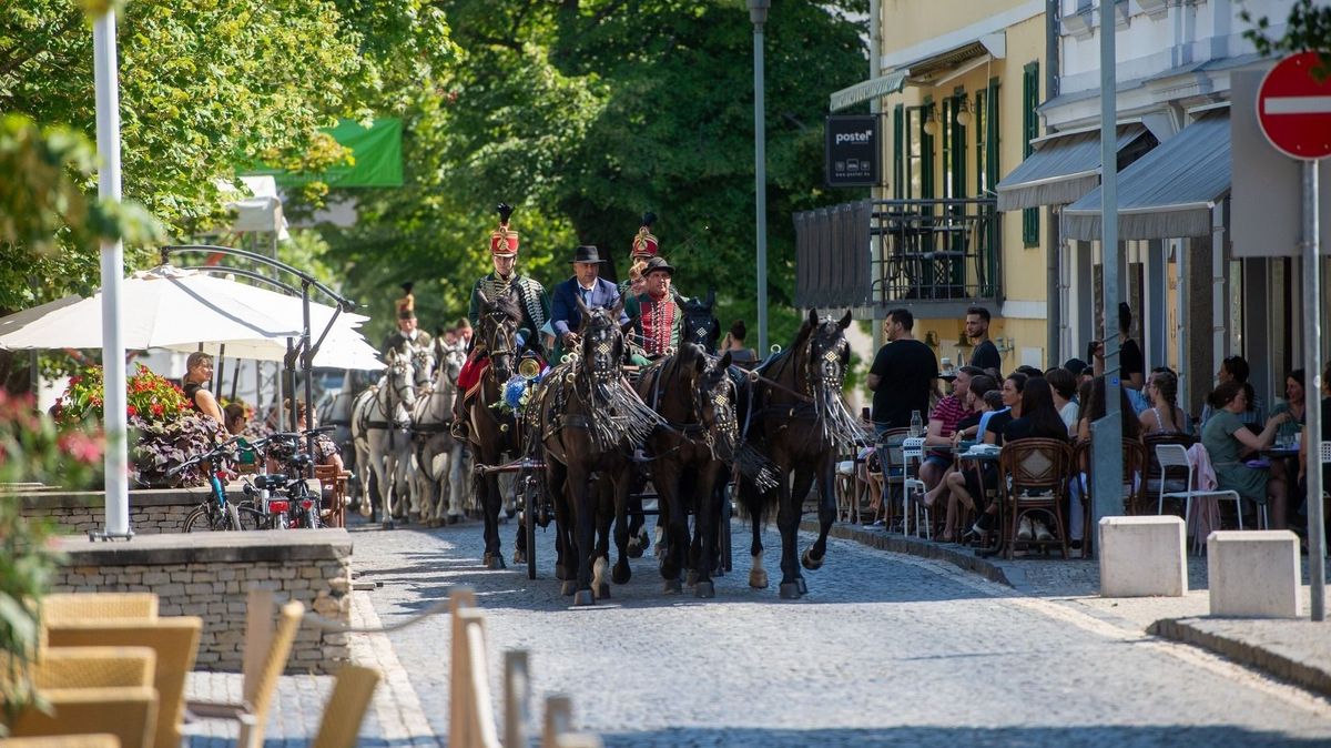 Az ötös fogatot Juhász Károly hajtotta