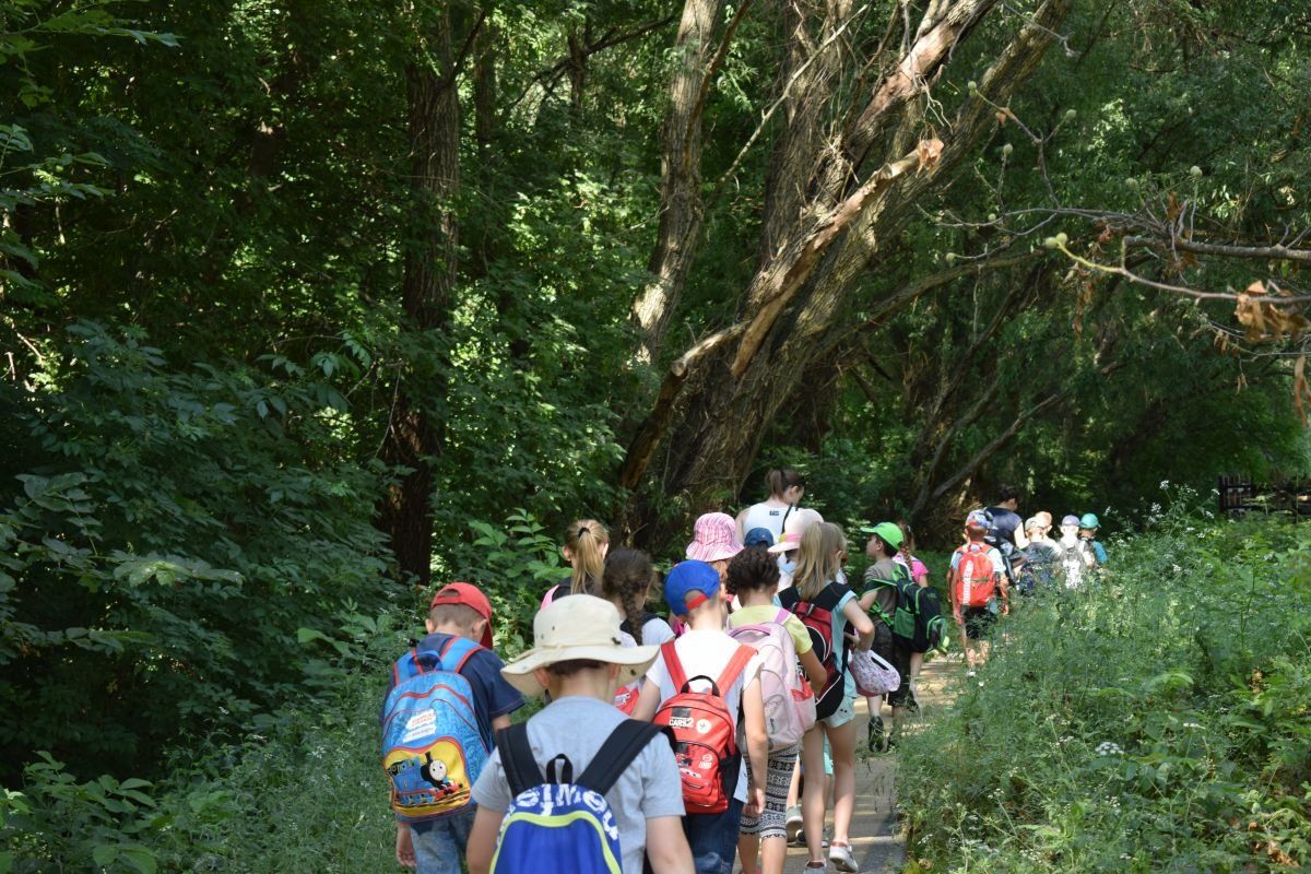 állatpark, kirándulások, kedvelt helyszín