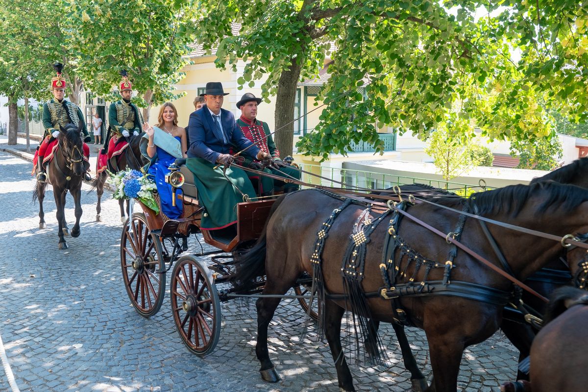 A ménesbirtok ötösfogatának a lovain a makói csipkeveretes díszhám van