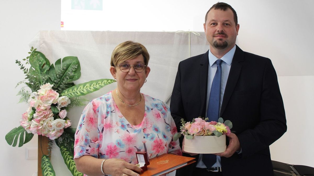 elismerések, dévaványa, kitüntetések