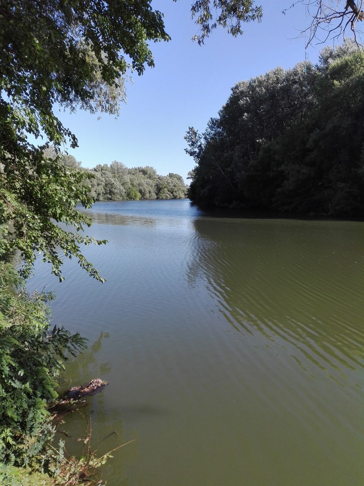 The,Körös,Is,A,River,In,Eastern,Hungary,And,Western