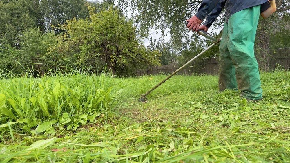 közmunkások, Körösnagyharsány, közfoglalkoztatás