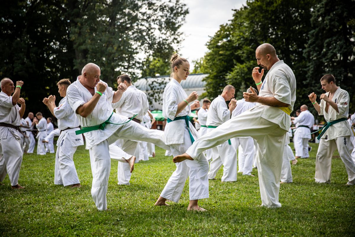 Országos Kyokushin Karate Edzőtábor,Gyulai Várfürdő