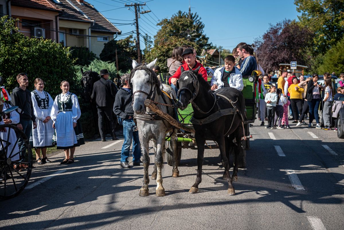 szüreti felvonulás, Békés, hagyomány