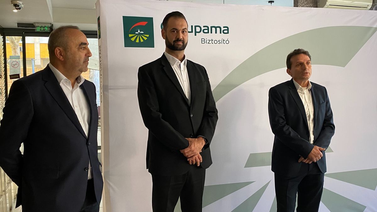 Groupama, biztosító, iroda, ügyfélszolgálat