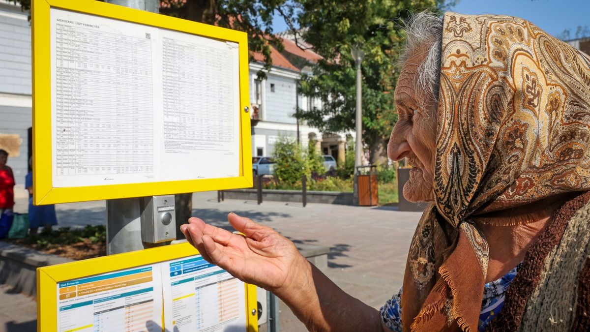 menetrend, vonat, busz, ünnep, október 23