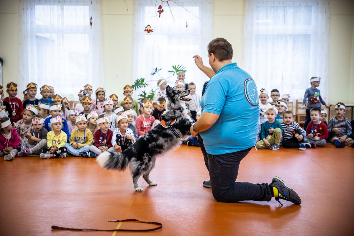 kutyás foglálkozás, agility, ismeretterjesztő foglalkozás, óvoda, Gyula