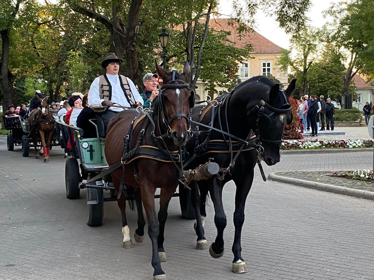 németek betelepülése, Gyula, felvonulás, szekeres