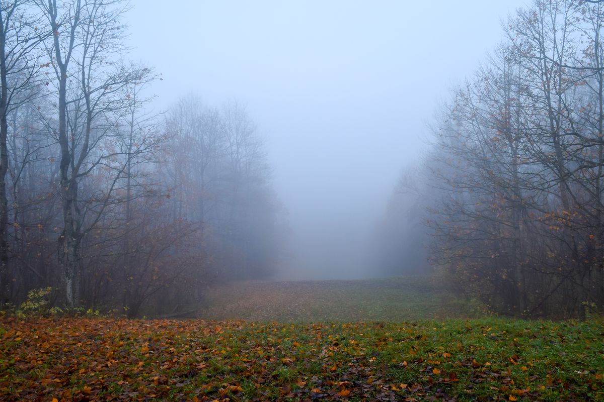 napi infó, időjárás, előrejelzés, köd