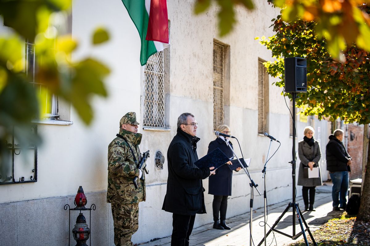 Beszédében dr. Bácsmegi Gábor, a Munkácsy Mihály Múzeum igazgatója ismertette Mány Erzsébet és Farkas Mihály történetét