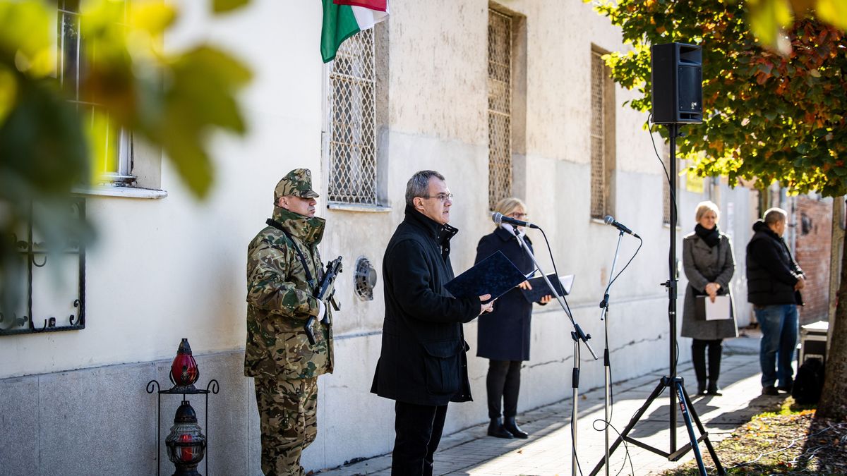 Beszédében dr. Bácsmegi Gábor, a Munkácsy Mihály Múzeum igazgatója ismertette Mány Erzsébet és Farkas Mihály történetét