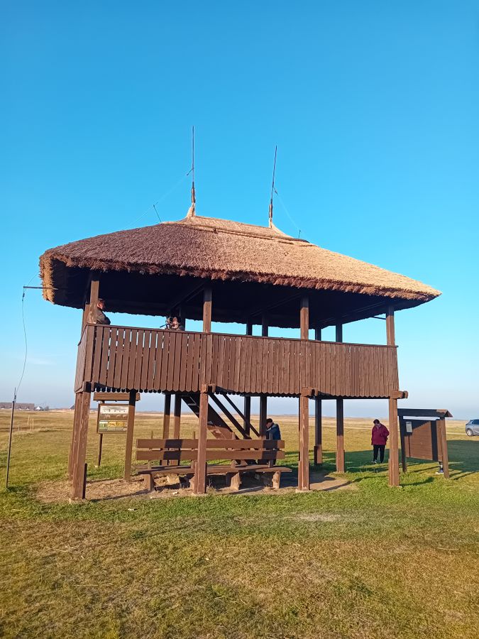 A kilátóhoz alkonyat előtt egyre többen érkeztek