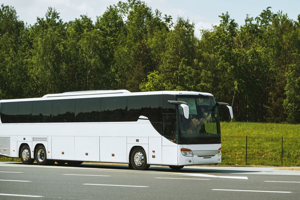busz, lopás, Dobegyháza