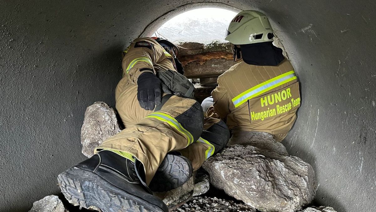 földrengés, Hunor, állati ösztön