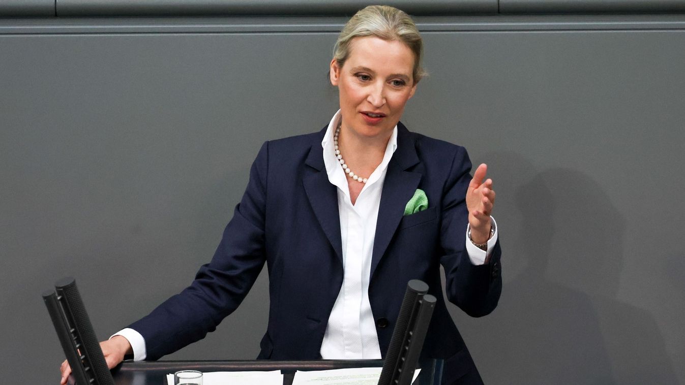 Az AfD-t a CDU és a CSU elhibázott politikája emelte fel