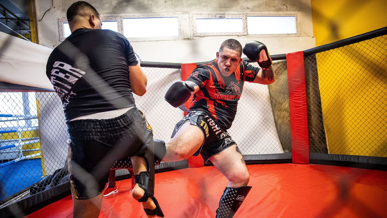 Ha február, akkor Sparring Day Békéscsabán - galériával, videóval