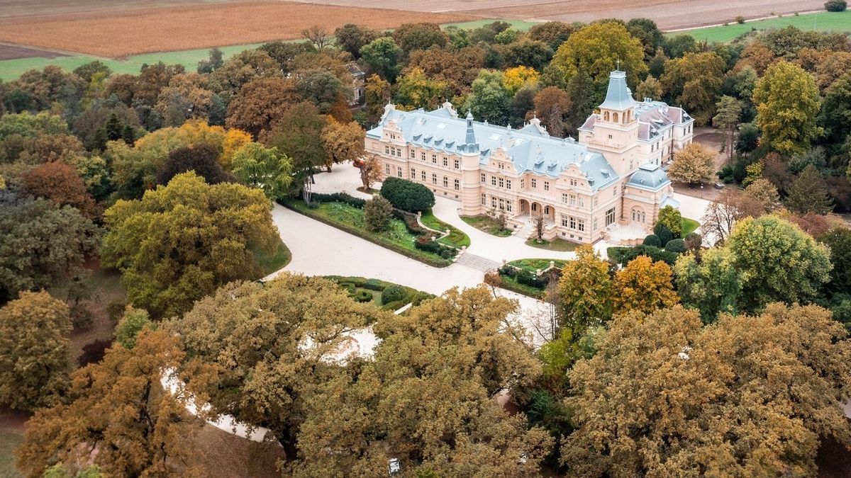 Wenckheim-kastély, felújítás, fejlesztés