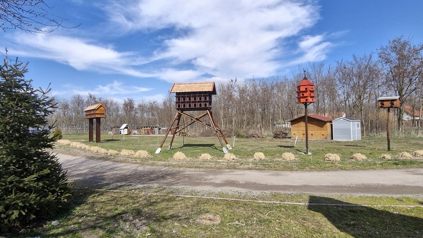Alakul az Alföldi Galambdúc Park