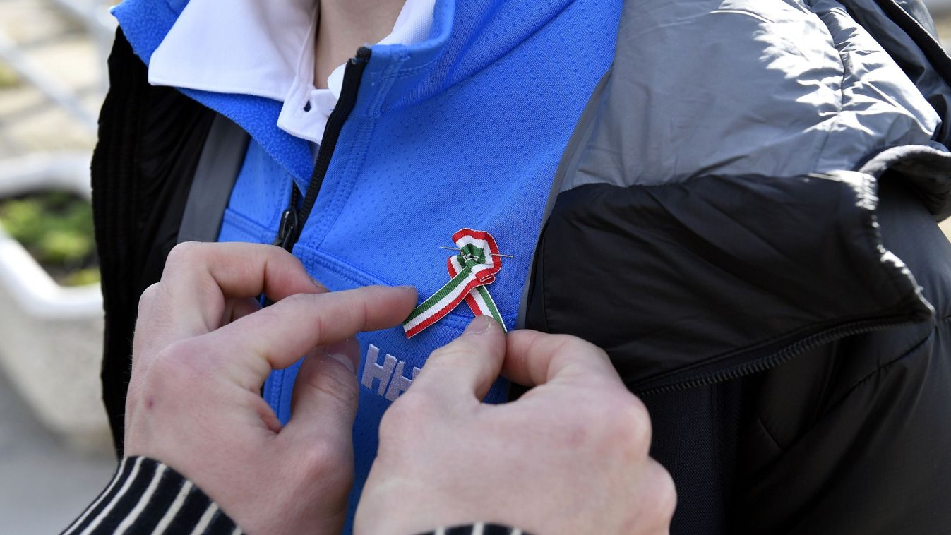 Előadóművészek osztanak kokárdát országszerte