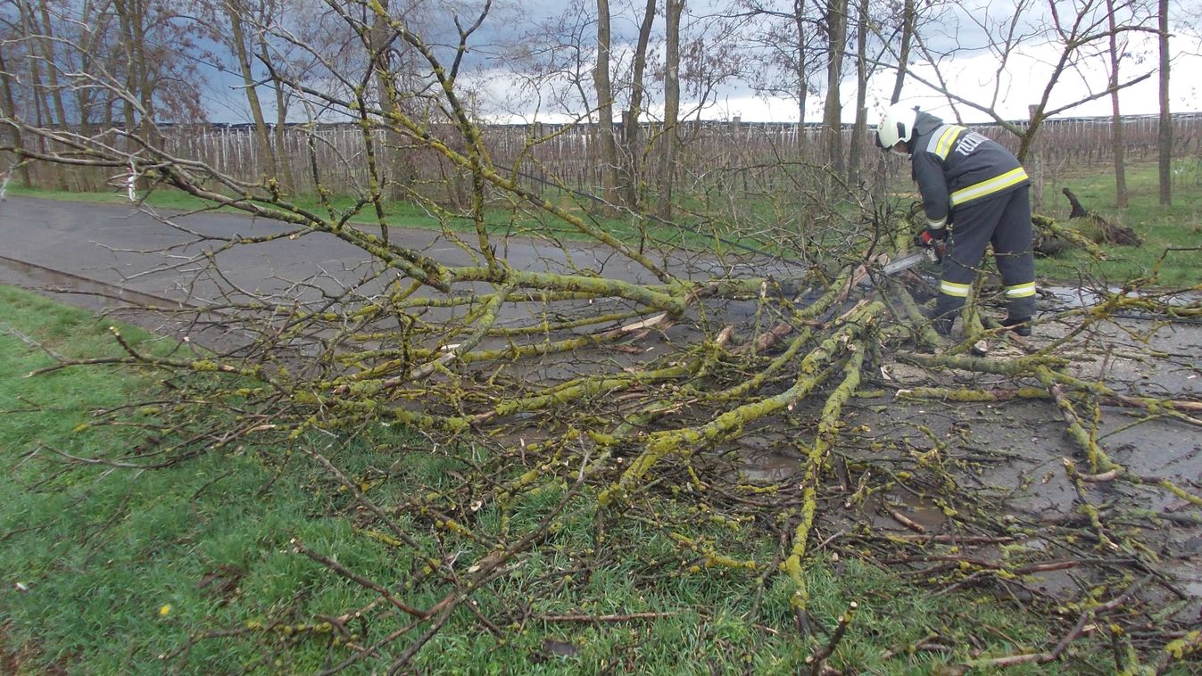 Pusztított a vihar Békésben - galériával