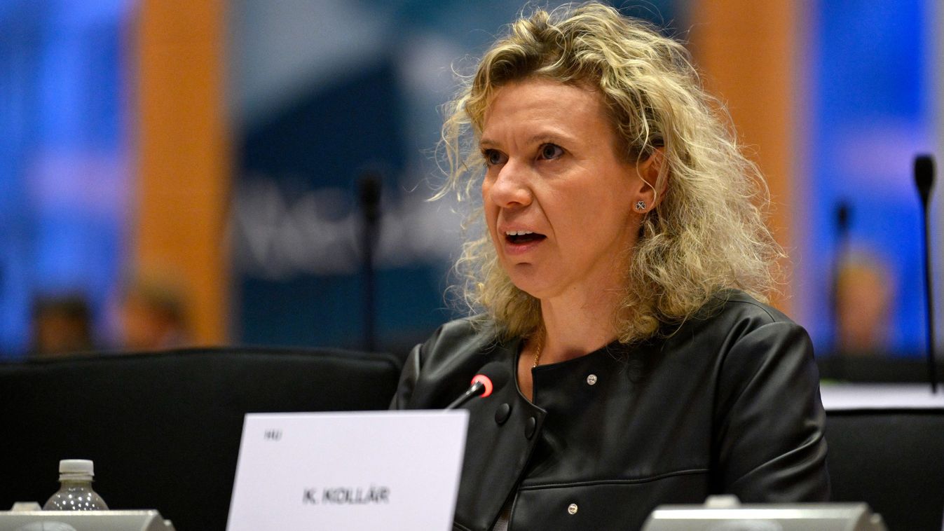 Tüntetést szervez Bayer Zsolt a tiszás Kollár Kinga botránya miatt (videó)