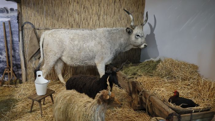 Élet a tanyaudvaron címmel nyílt kiállítás Szabadkígyóson