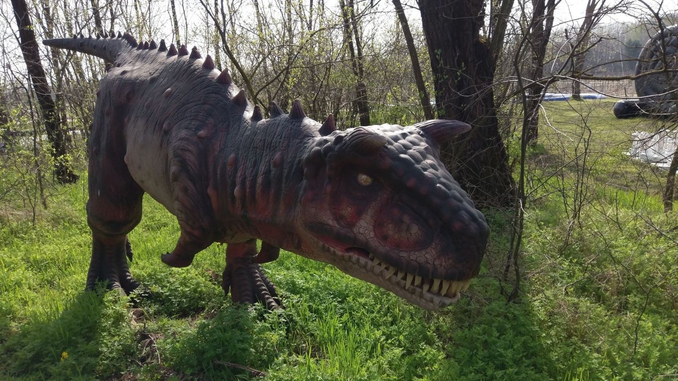 Ezt egyszerűen látni kell! Fantasztikus élmény a gyulai Dinóparkban!