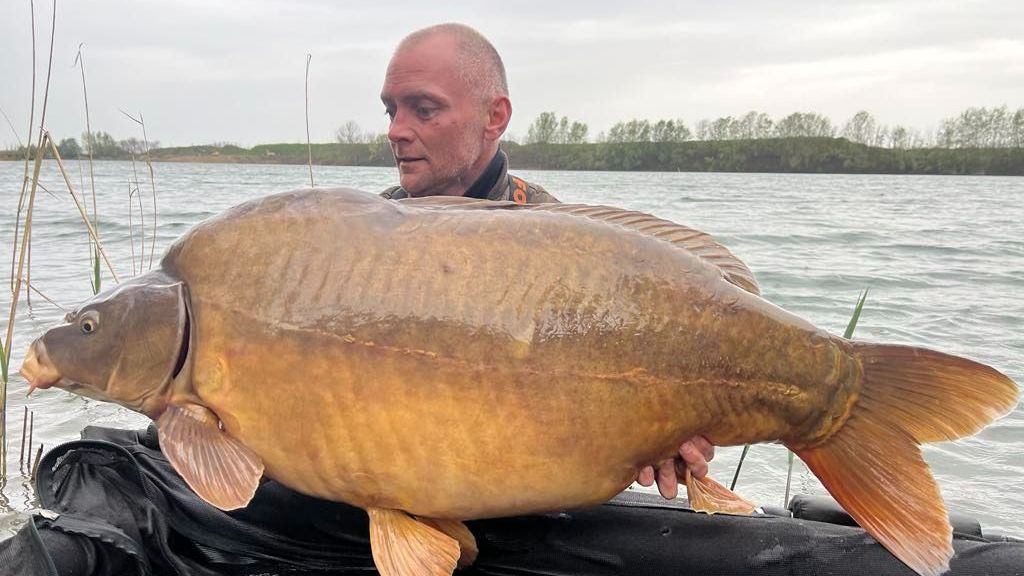 30 kg, ponty