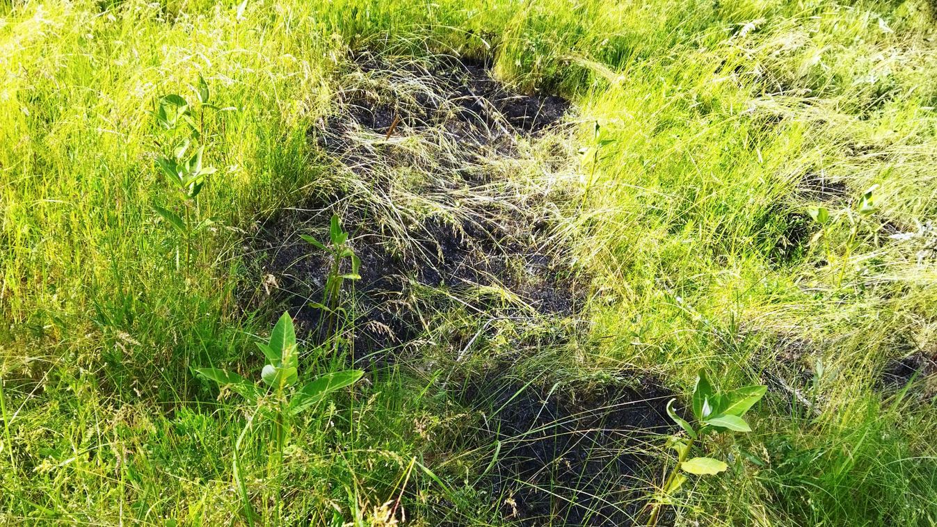 Égett a növényzet, mutatjuk, mi történt
