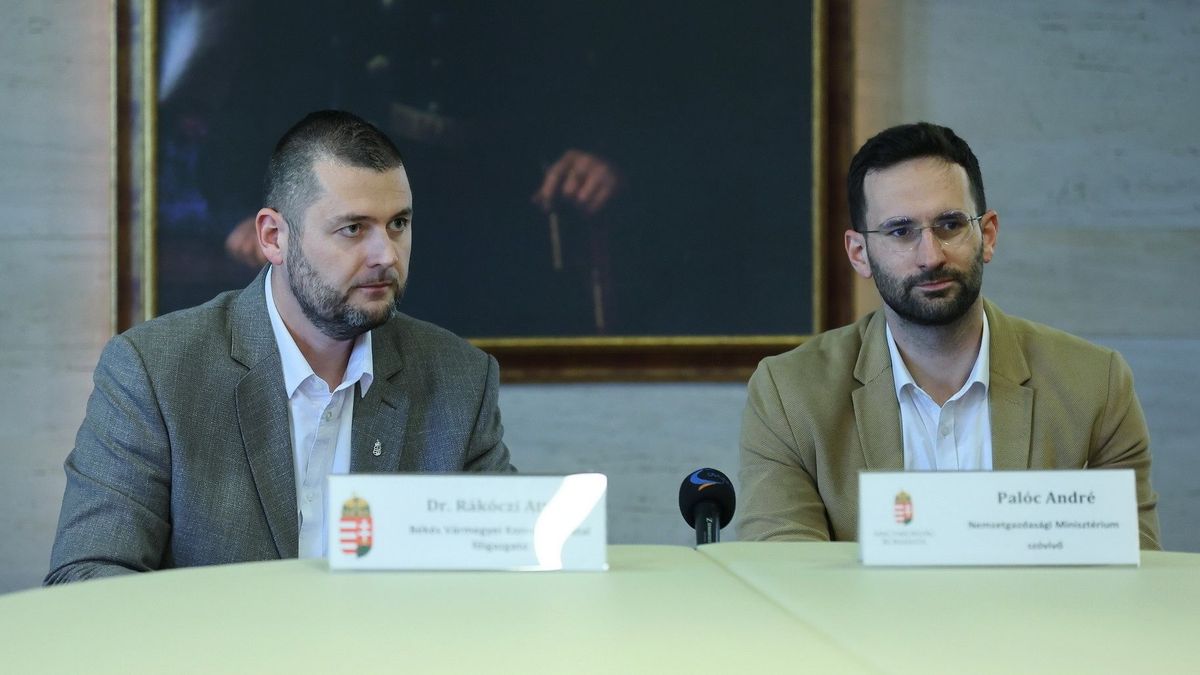 fogyasztóvédelem, konzultáció, online
