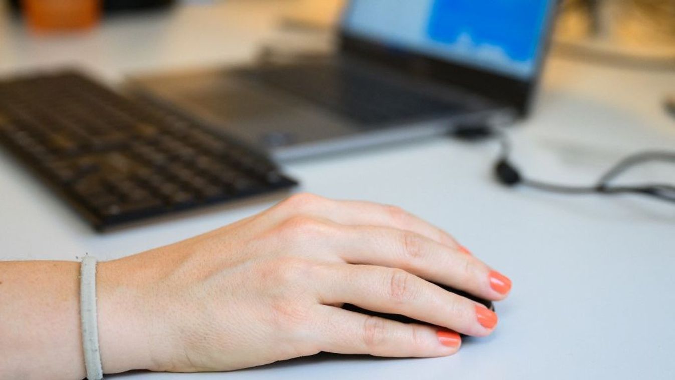 Elektronikusan is felajánlható az adó egy százaléka