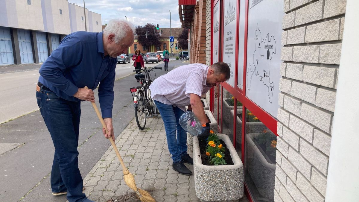 Herczeg Tamás, virágok, iroda, ültetés