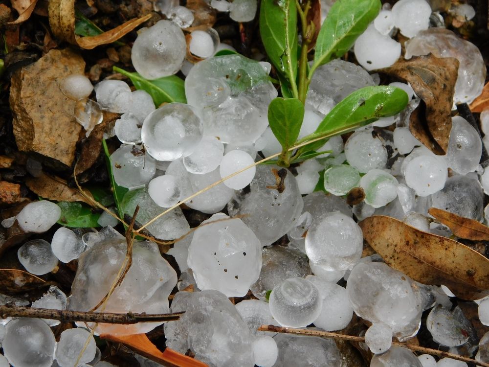 Closeup,Photo,Of,Ice,Hail,Stones,In,A,Garden,Bed