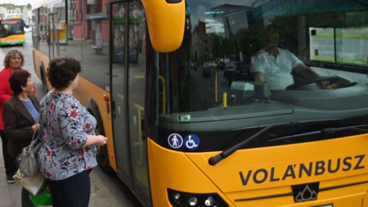 helyi járat, buszközlekedés