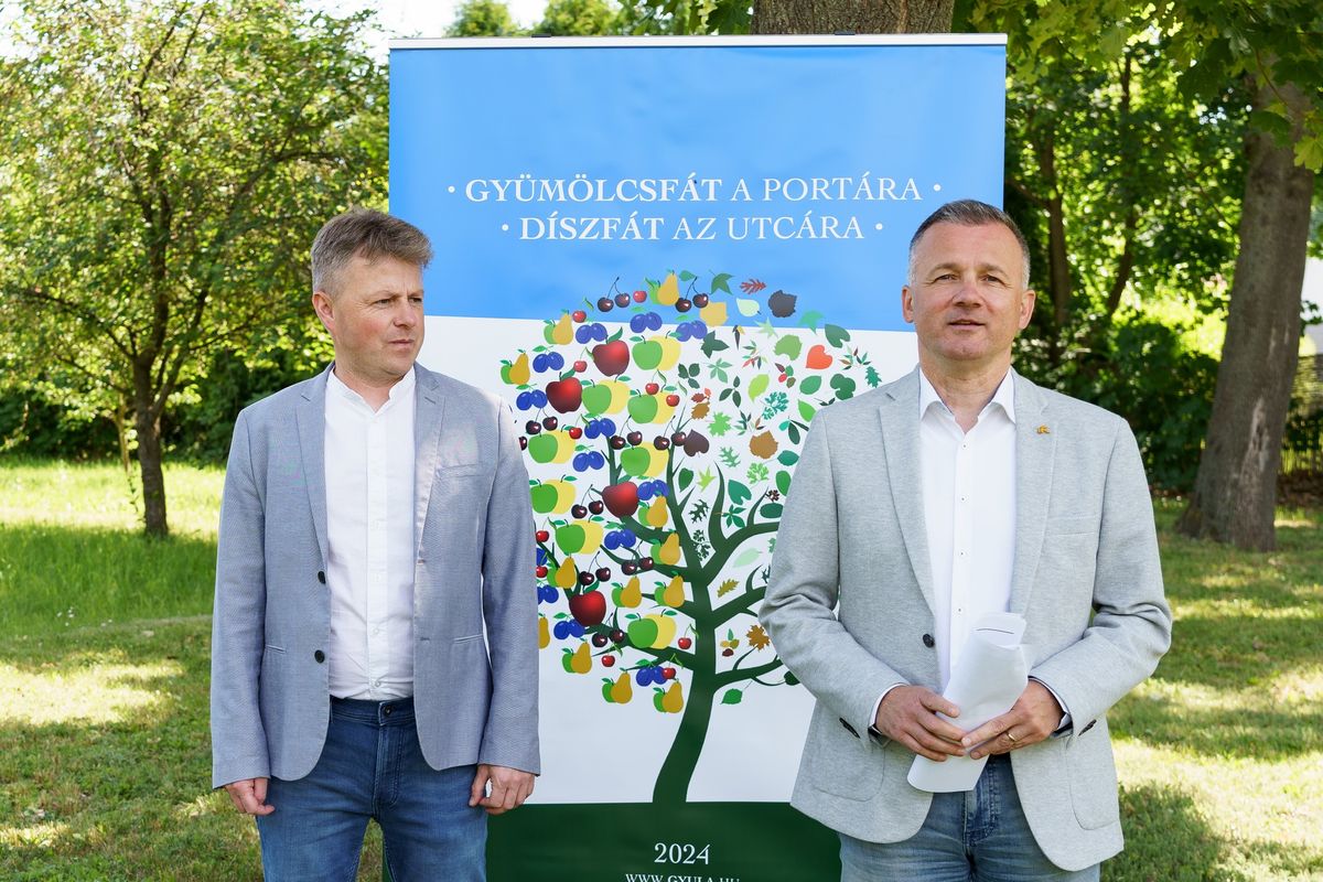 gyümölcsfa, Alt Norbert, Görgényi Ernő