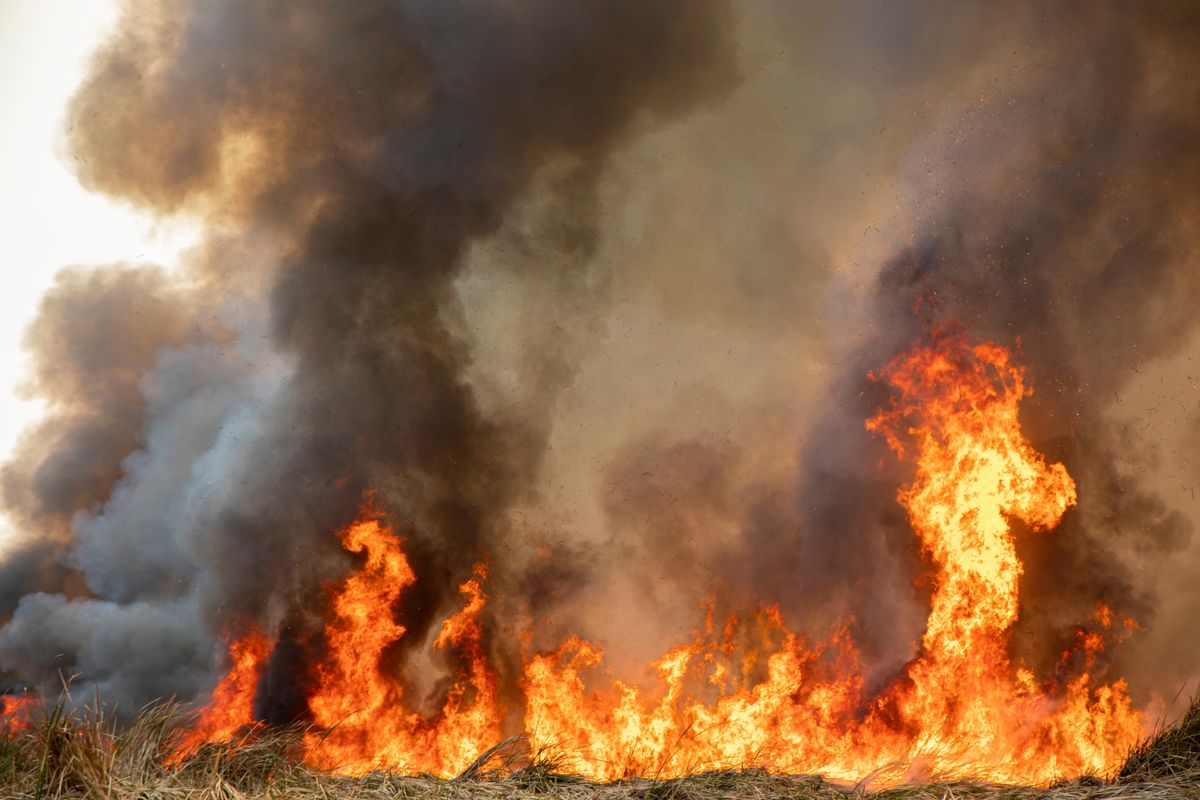 Red,Raging,Flame,Of,Fire,Burn,In,Grass,Fields,,Forests