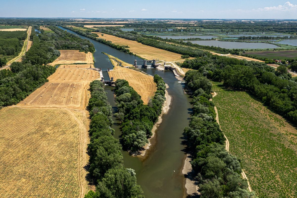 aszály