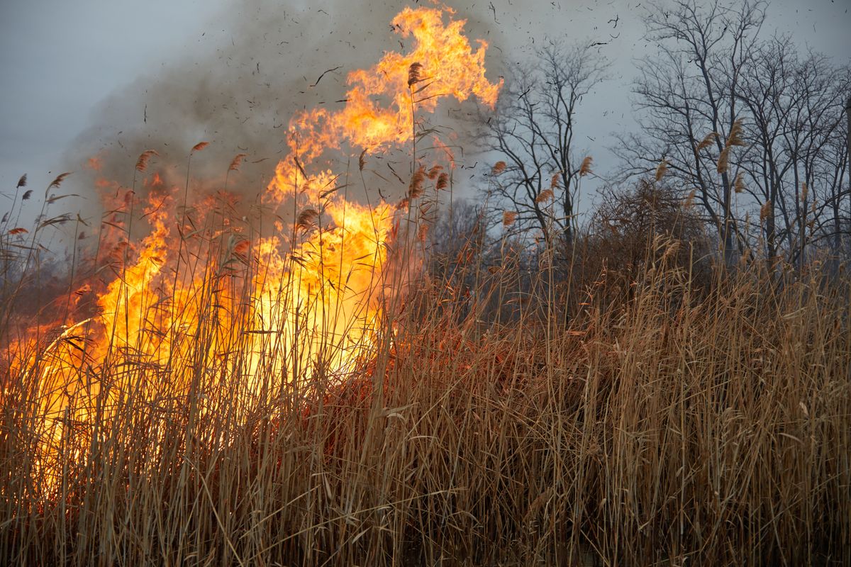 Spring,Bonfires,Of,Dry,Reeds,Dangerously,Approach,The,Houses,Of