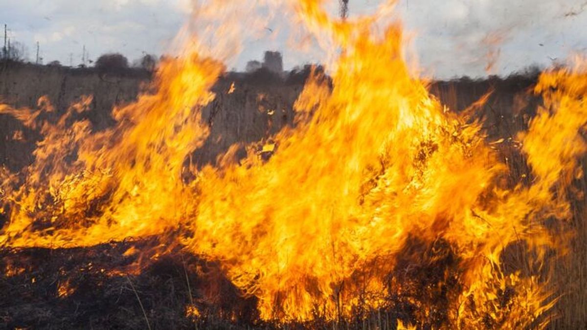 Lángra kapott a tarló az extrém hőségben