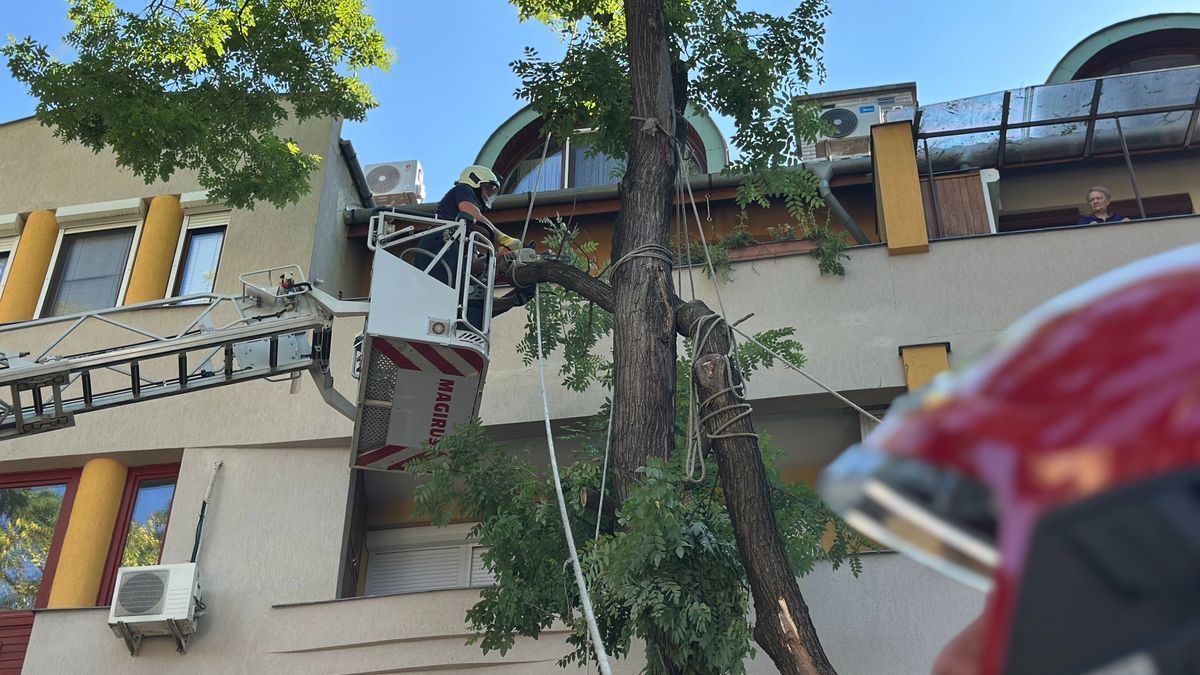 vihar, biztosító, kárbejelentés, Békés vármegye