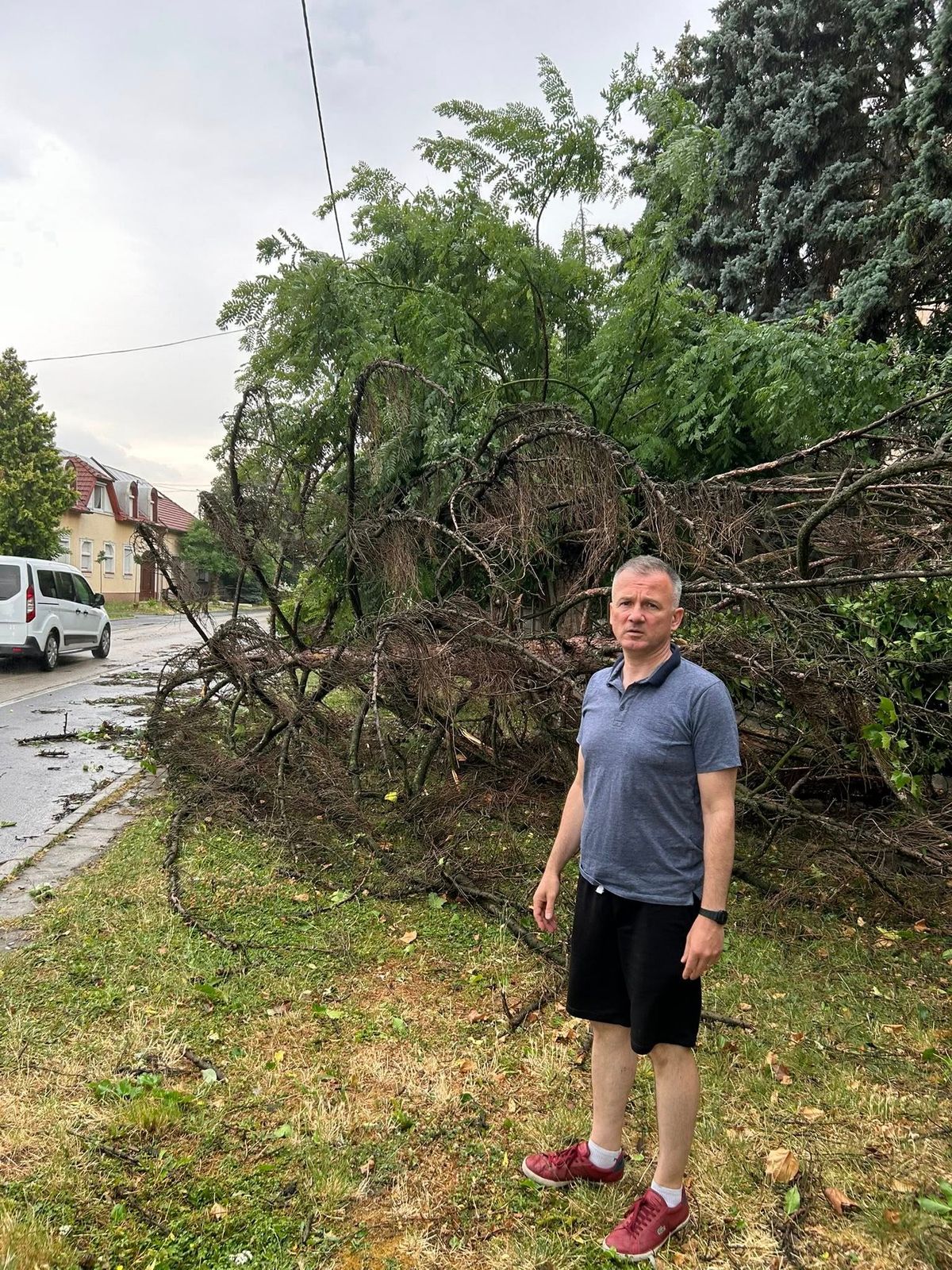 vihar, Gyula
